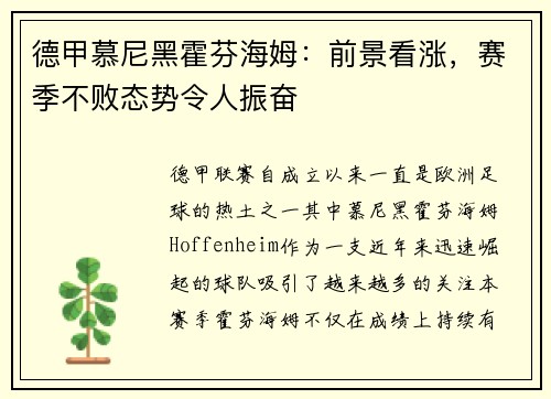 德甲慕尼黑霍芬海姆：前景看涨，赛季不败态势令人振奋